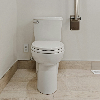 Another Airplane Toilet Flush.wav by lonemonk. (2026). Freesound. https://freesound.org/people/lonemonk/sounds/100839/  Link to image - Point3D Commercial Imaging Ltd. (2022, July). a toilet in a bathroom. Unsplash.com; Unsplash. https://unsplash.com/photos/a-toilet-in-a-bathroom-vwCEyRG1w00
      ‌
      ‌